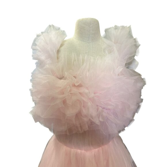 Incredible Oh So Darling Ruffled Tulle High-Low Dress With Train In Soft Pink - Picture 11 of 16